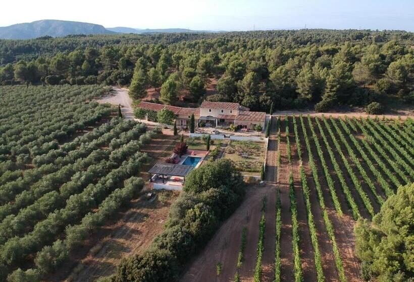 ファミリールーム, Domaine De Villemus