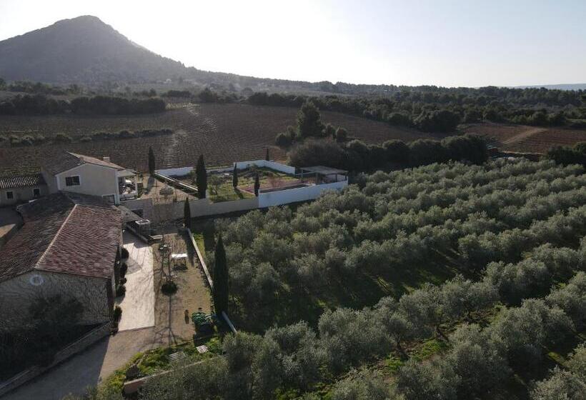 ファミリールーム, Domaine De Villemus