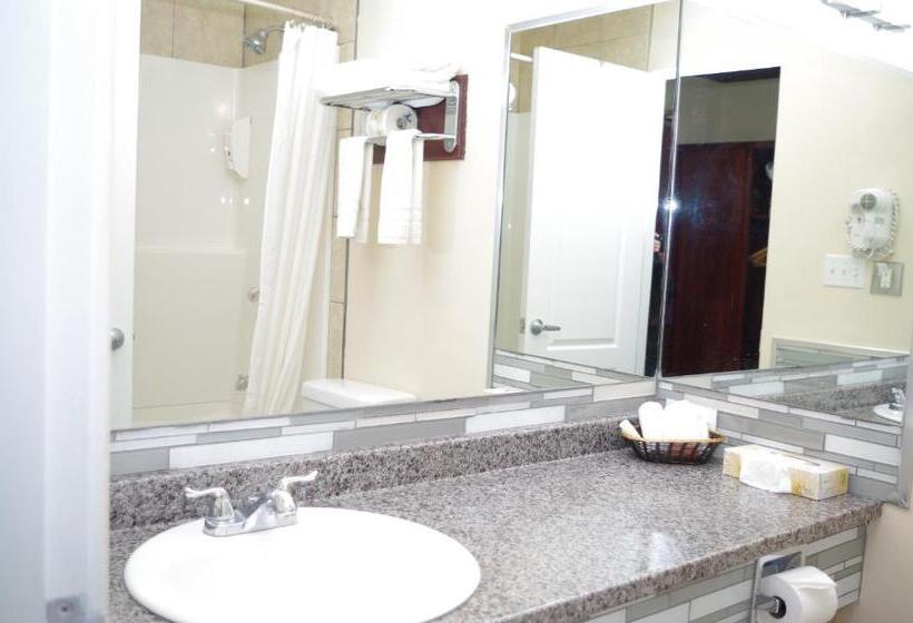 带大床的套房, Causeway Bay Hotel Sparwood