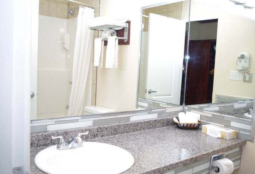 Номер Стандарт 2 Двуспальные Кровати, Causeway Bay Hotel Sparwood