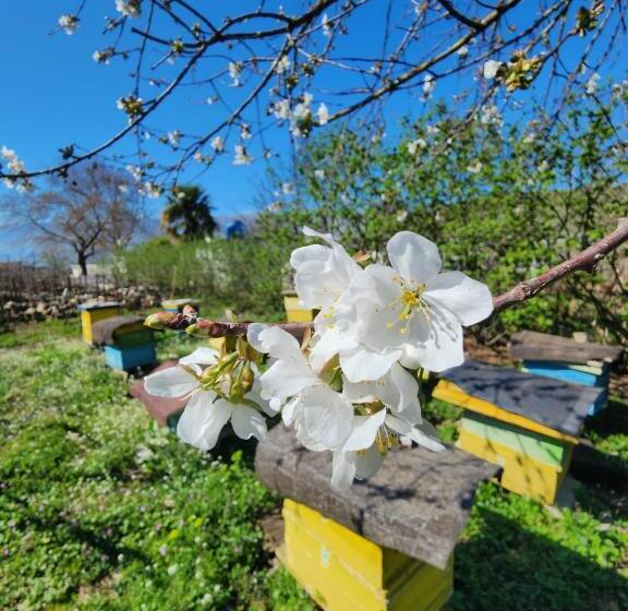 סוויטה עם טרסה, Villa Shuaipaj