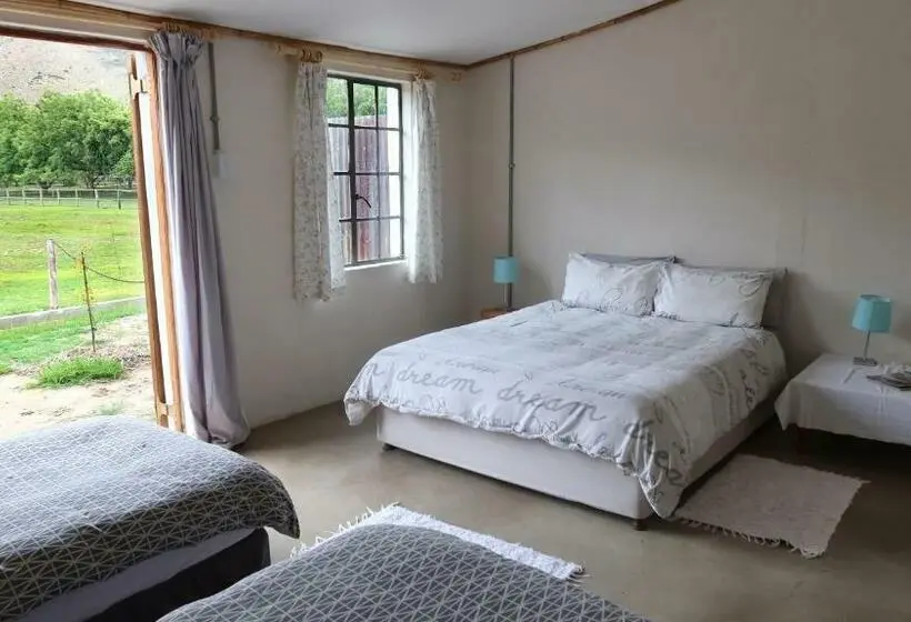 Economy Quadruple Room, De Bos Backpackers