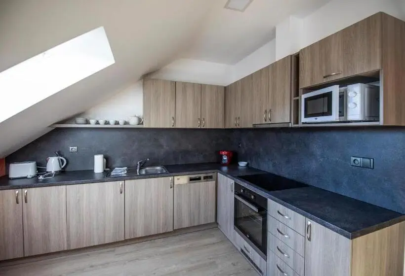 ドゥプレックスルーム, Apartmány Pod Jeřábem, šanov 67, červená Voda