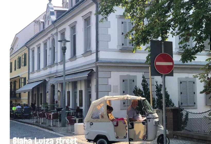 اتاق خانوادگی, Kedves Vendégház