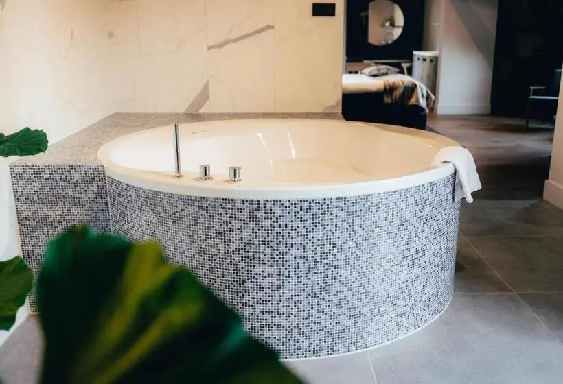 اتاق استاندارد با وان آب گرم, Cityhotel Wood