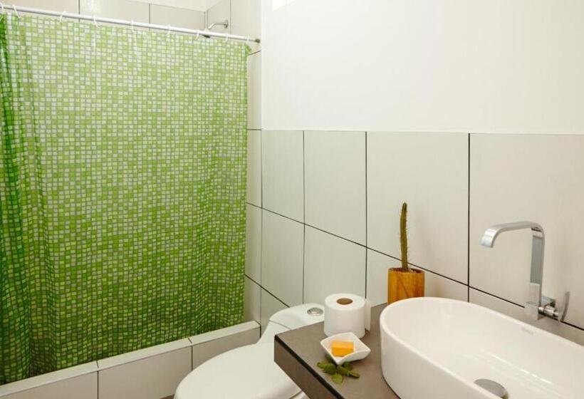 スタンダードルーム, Vidamar