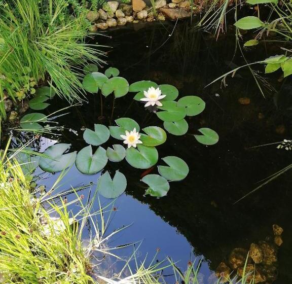 기본룸, Pension Anja Heil