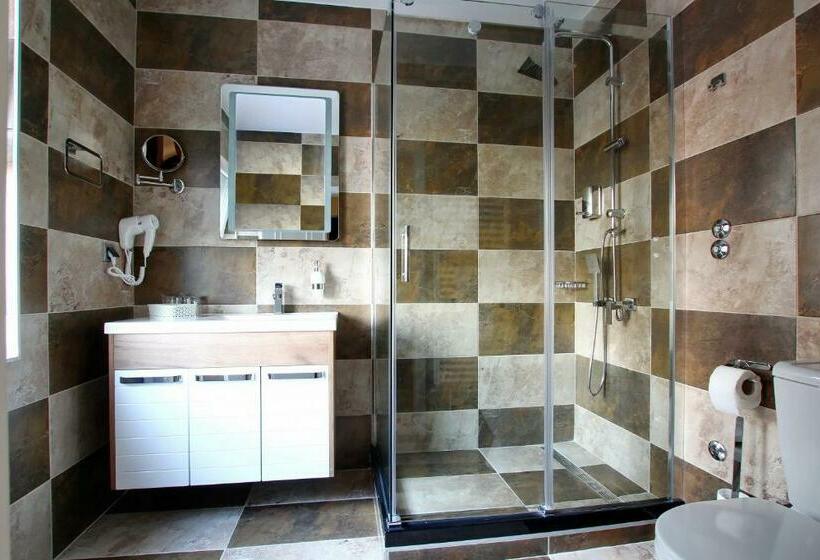 اتاق استاندارد یک نفره, Villa Galeb