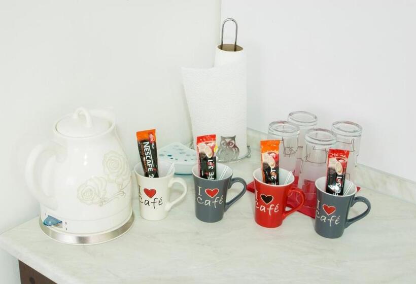 استودیوی لوکس, Guest House Centar Lux