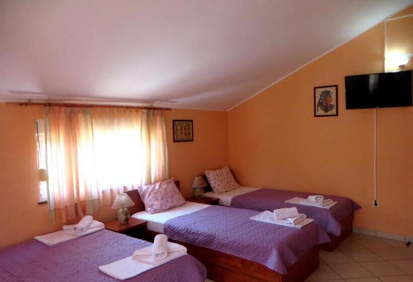 اتاق خانوادگی, Guest House Villa živanović