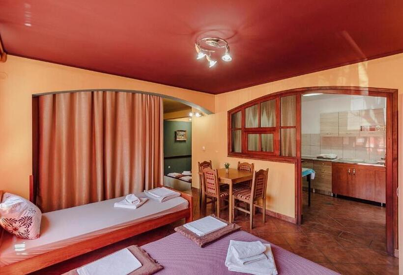 آپارتمان 1 خوابه همکف, Guest House Villa živanović