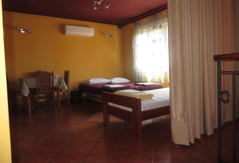 آپارتمان 1 خوابه همکف, Guest House Villa živanović