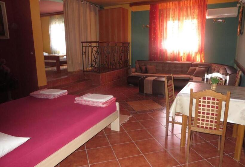 آپارتمان 1 خوابه همکف, Guest House Villa živanović