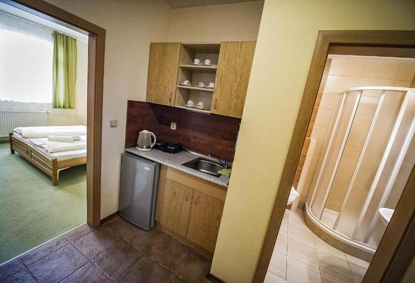 Апартаменты 1 Спальня, Privat Galfy