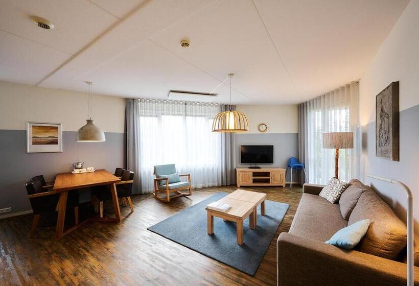 Апартаменты 1 Спальня, Résidence Terschelling