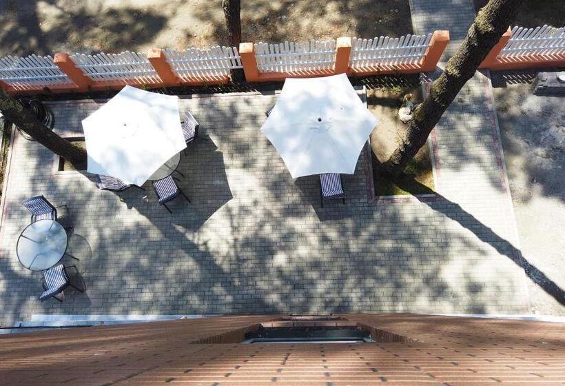 اتاق اکونومی, Gina Shekvetili