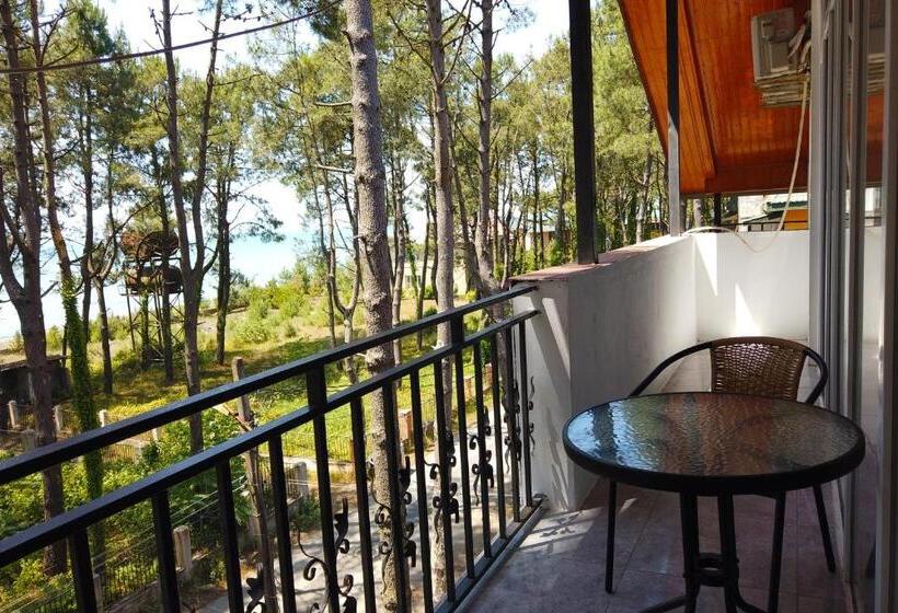 اتاق اکونومی, Gina Shekvetili