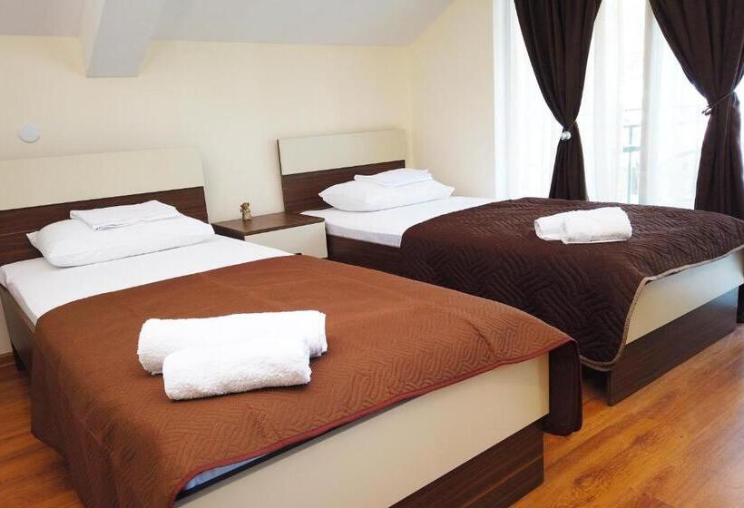 اتاق اکونومی, Gina Shekvetili