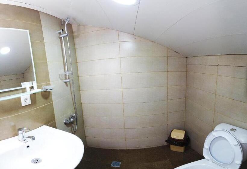 اتاق اکونومی, Gina Shekvetili