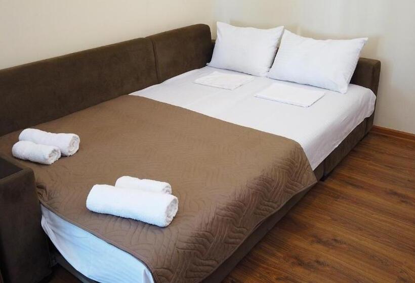 اتاق خانوادگی, Gina Shekvetili