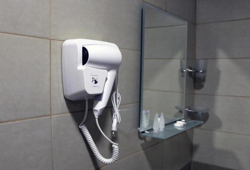 اتاق خانوادگی, Gina Shekvetili