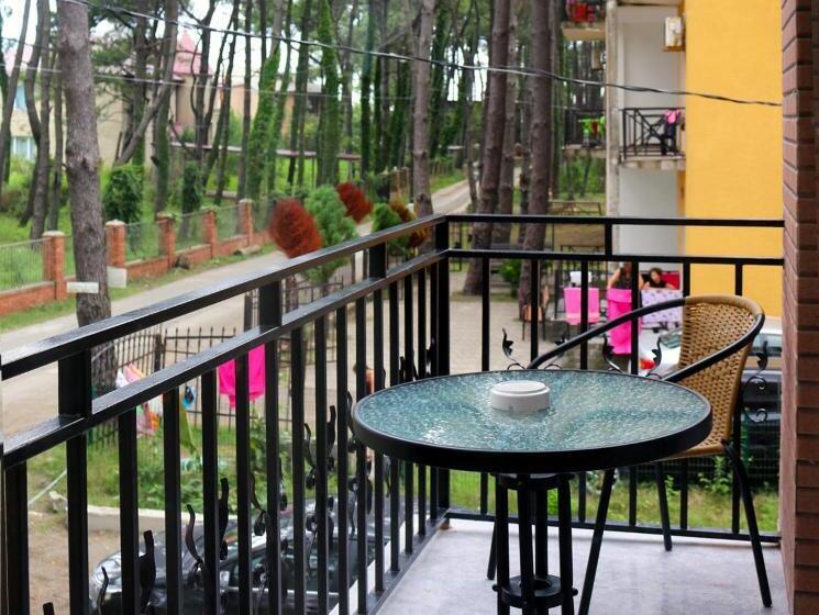 اتاق خانوادگی, Gina Shekvetili