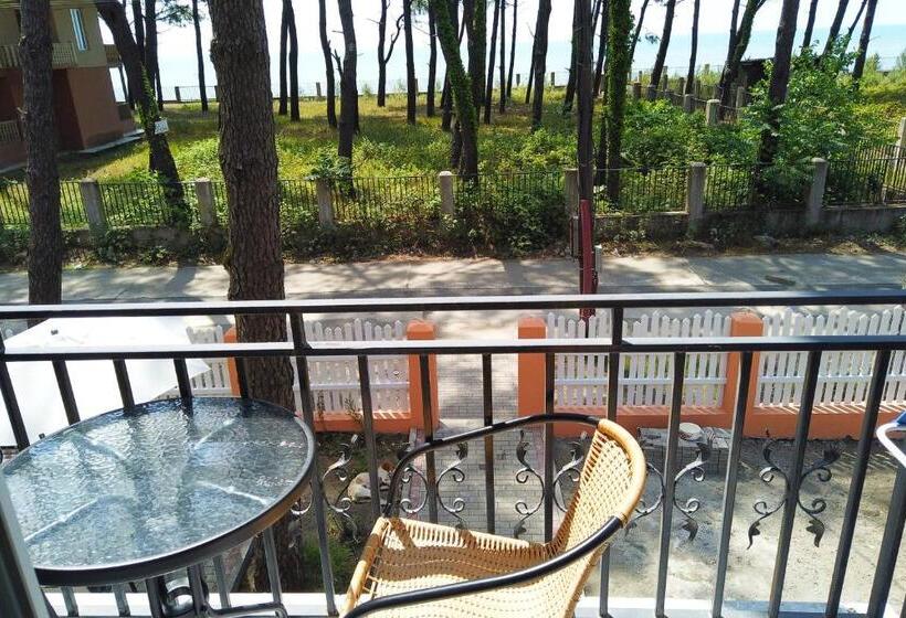 اتاق خانوادگی, Gina Shekvetili