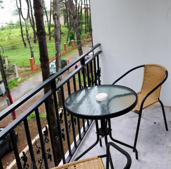 اتاق خانوادگی, Gina Shekvetili