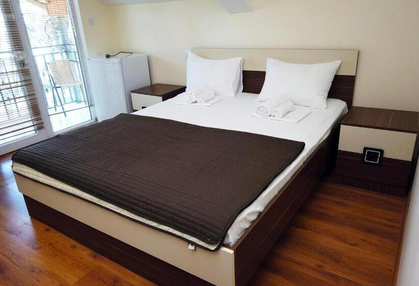 اتاق عادی, Gina Shekvetili