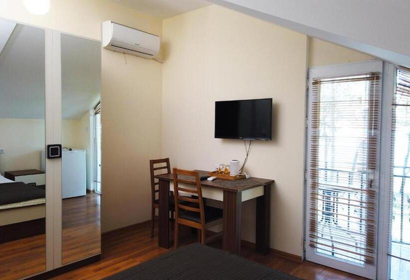 اتاق عادی, Gina Shekvetili