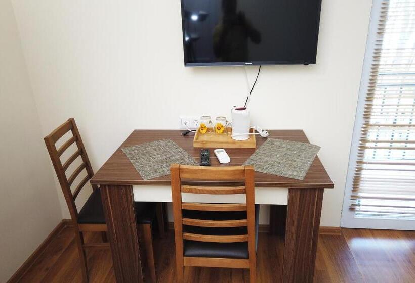 اتاق عادی, Gina Shekvetili