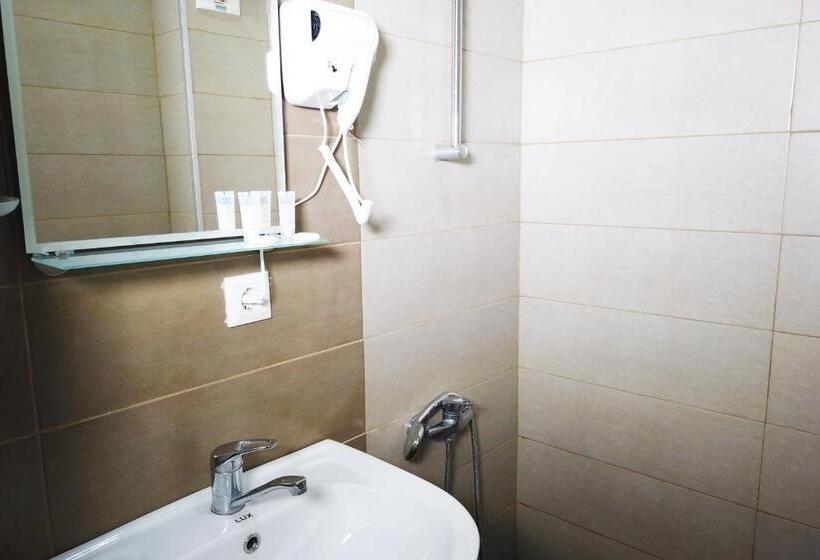 اتاق عادی, Gina Shekvetili