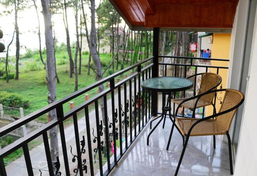 اتاق عادی, Gina Shekvetili