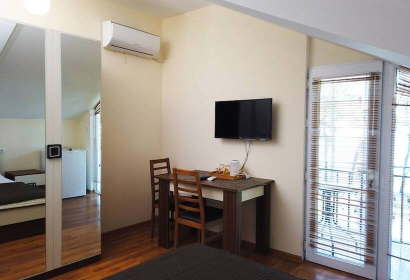 اتاق اکونومی, Gina Shekvetili