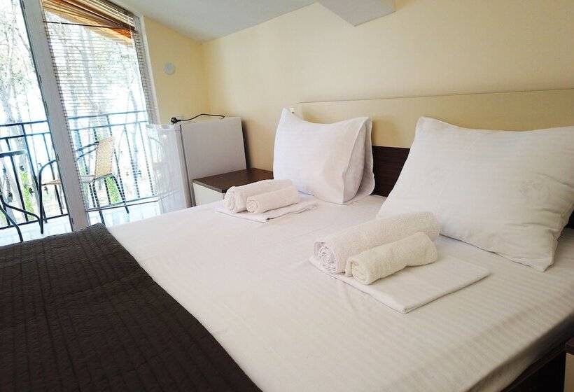 اتاق اکونومی, Gina Shekvetili