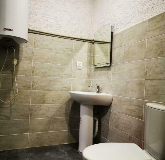 اتاق استاندارد با تخت بزرگ, Mini Hotel Abazgaa