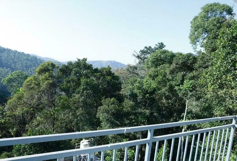 Deluxe Zimmer, Casillda Munnar