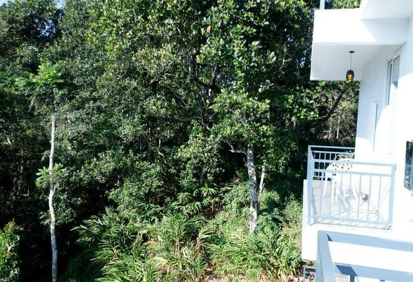 Camera Deluxe, Casillda Munnar