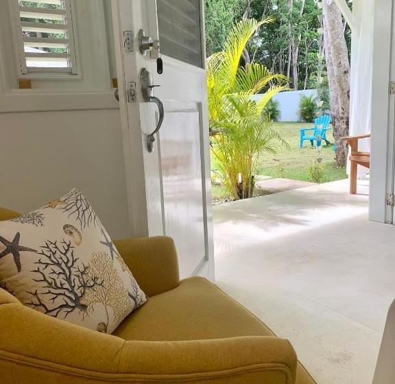 اتاق اکونومی, Punta Popy Boutique