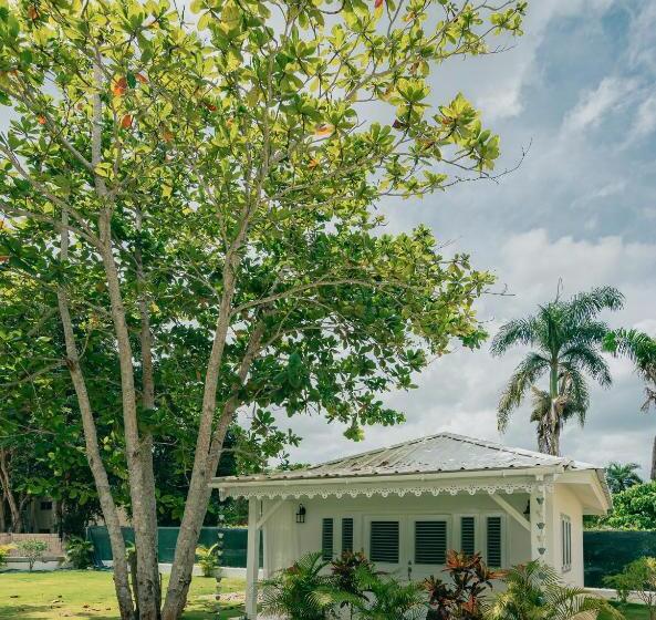 اتاق اکونومی, Punta Popy Boutique