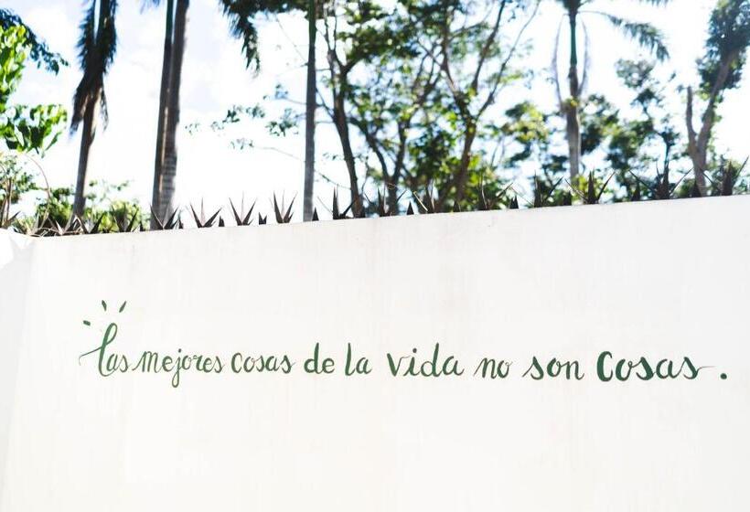 اتاق استاندارد با چشمانداز باغ, Punta Popy Boutique