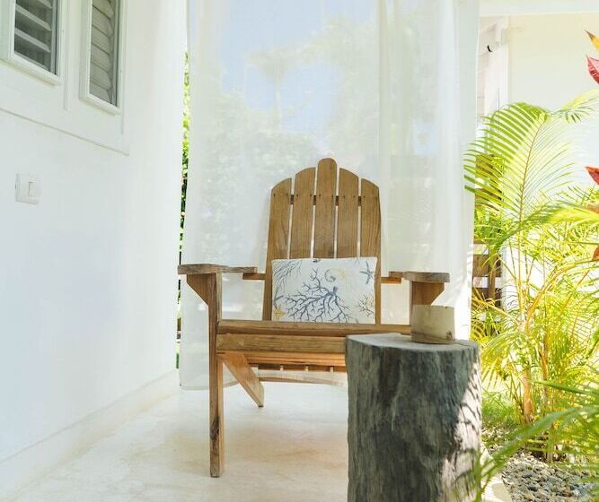 اتاق اکونومی, Punta Popy Boutique