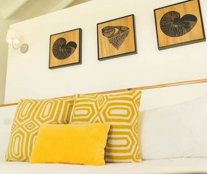 اتاق اکونومی, Punta Popy Boutique