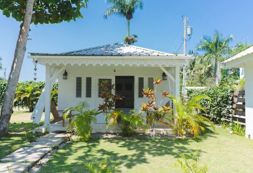 اتاق اکونومی, Punta Popy Boutique