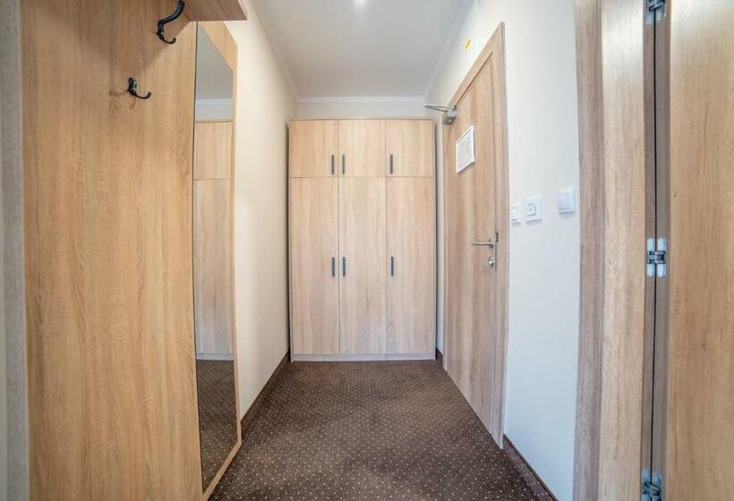 اتاق استاندارد, Soni Lux