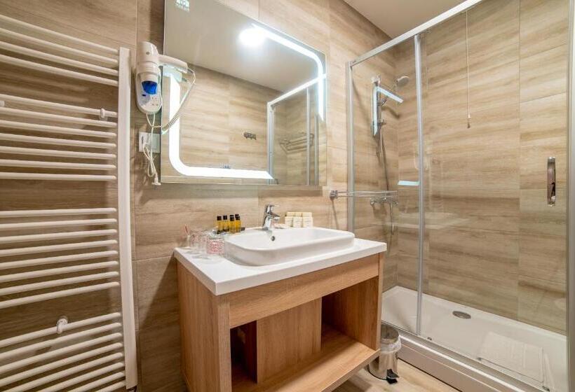 اتاق استاندارد سه نفره, Soni Lux