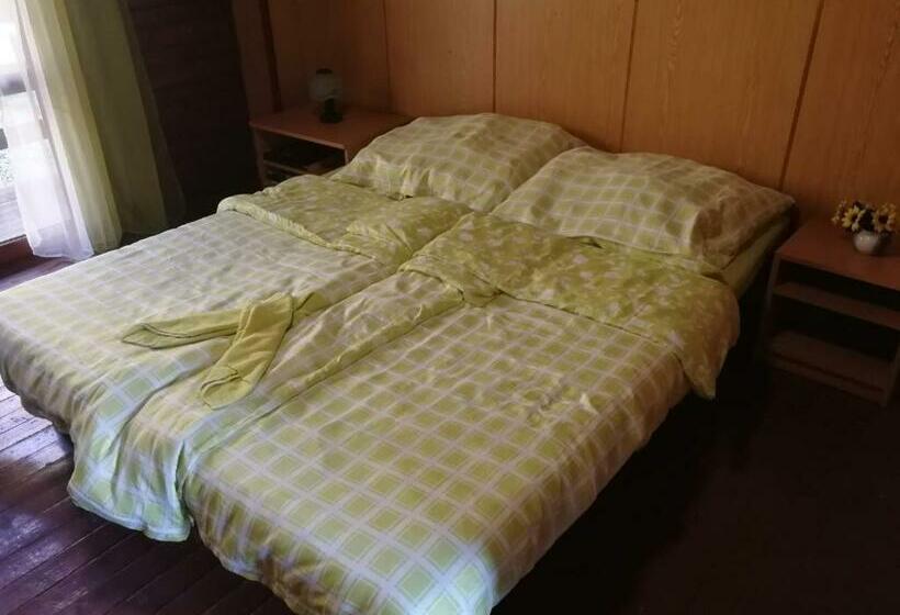 스탠다드 룸 호수 전망, Chata Pod Vlekom