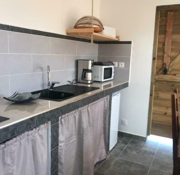 استودیوی استاندارد, Les Aloès By Creyol Animal