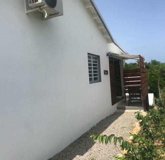 استودیوی استاندارد, Les Aloès By Creyol Animal