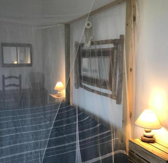 استودیوی استاندارد, Les Aloès By Creyol Animal